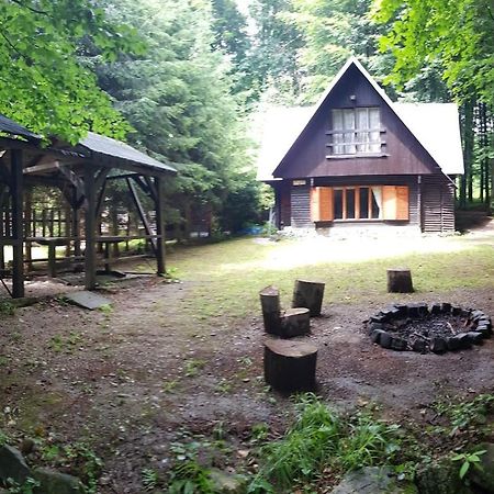 Slovak Cottage Near Bratislava In The Heart Of The Carpathians Модра Екстер'єр фото
