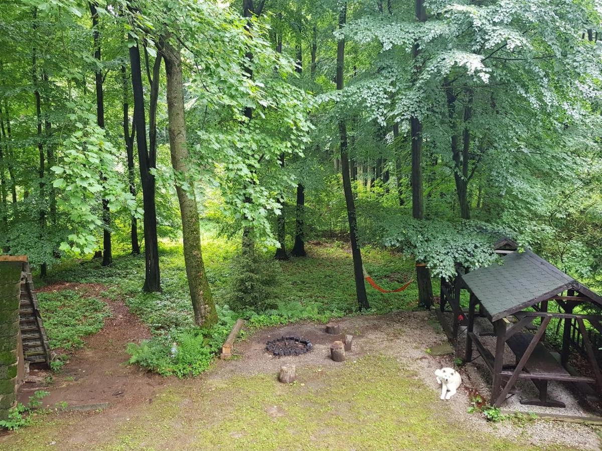 Slovak Cottage Near Bratislava In The Heart Of The Carpathians Модра Екстер'єр фото