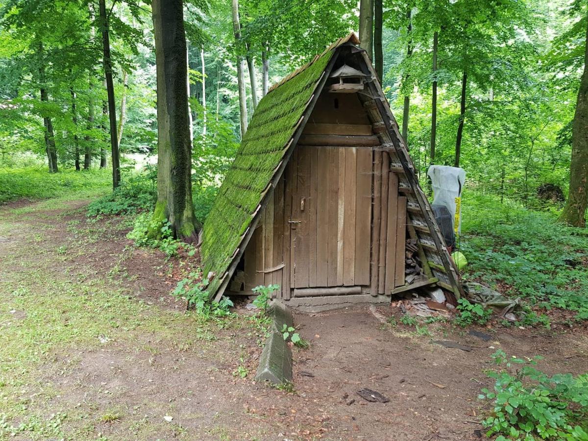Slovak Cottage Near Bratislava In The Heart Of The Carpathians Модра Екстер'єр фото