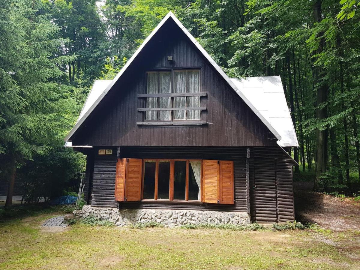Slovak Cottage Near Bratislava In The Heart Of The Carpathians Модра Екстер'єр фото