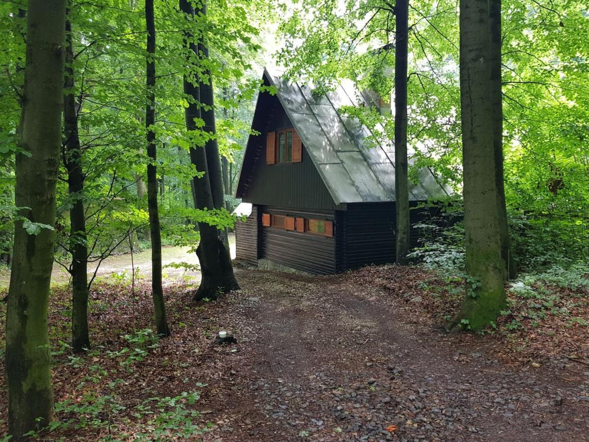 Slovak Cottage Near Bratislava In The Heart Of The Carpathians Модра Екстер'єр фото